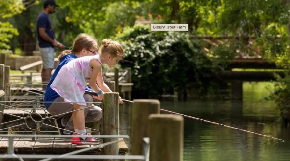 Large Stylish Luxury Cotswold Cottage - Ideal For Families, W/ Ev Charging Andoversford Экстерьер фото